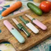 Portable 2-in-1 Mini Fruit Knife & Peeler – ট্রাভেল-ফ্রেন্ডলি কিচেন টুলের সেরা সমাধান! Portable 2-in-1 Mini Fruit Knife & Peeler – ট্রাভেল-ফ্রেন্ডলি কিচেন টুলের সেরা সমাধান!